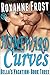 Homeward Curves: A Curvy, First Time Romance (Bella's Vacation Book 3)