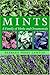 Mints: A Family Of Herbs And Ornamentals