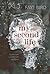 My Second Life by Faye Bird