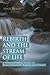 Rebirth and the Stream of Life: A Philosophical Study of Reincarnation, Karma and Ethics