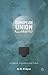The European Union Illumina...