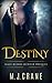 Destiny (Half-Blood Hunter #0.5)