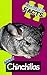 Fantastic Facts About Chinchillas: Illustrated Fun Learning For Kids