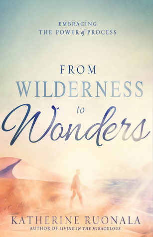 From Wilderness to Wonders: Embracing the Power of Process (Paperback)