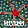 Shapes by Judith Nouvion