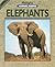 Elephants (Highlights Animal Books)