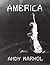 America by Andy Warhol