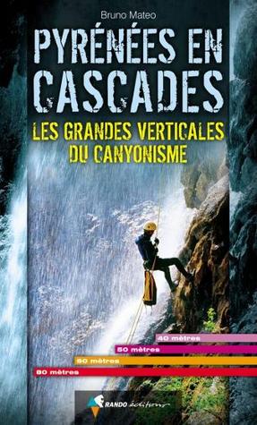 Pyrénées en Cascades. Les grandes verticales du canyonisme