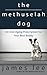 The Science of Canine Anti-Aging - Harness cutting-edge scientific principles of dog health to extend your best friend’s maximum life span