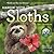 Hangin' With Sloths 2015 Calendar by Lucy Cooke Hangin' With Sloths 2015 Calendar by Lucy Cooke