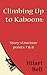 Climbing Up to Kaboom: Story structure points 7 & 8 (Writer Bites: Brief essays on the heart and craft of writing fiction)