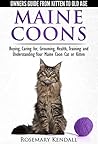 Maine Coon Cats -...