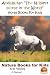 Andalusian "The Noblest Hor...