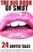 The Big Book of Smut by Vonica Colt