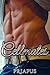 Cellmates: Gay Prison Story Erotic Bundle