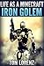 Minecraft: Life as a Minecraft Iron Golem (Book 1): An Unofficial Minecraft book: (Minecraft Stories, Minecraft Books,Minecraft Diary, Minecraft Books for Kids )