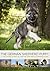 The German Shepherd Puppy: A vet's guide on how to care for your German Shepherd Puppy