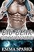 Big Bear Billionaire (Bear Billionaire, #1)