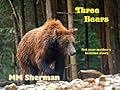 Three Bears: Not Your Mother's Bedtime Story