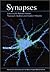 Synapses