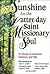 Sunshine for the Latter-Day Saint Missionary Soul by Deseret Book