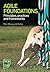 Agile Foundations: Principl...