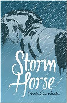 Storm Horse (Paperback)