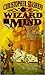 A Wizard in Mind (Rogue Wizard, #2)