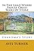 In The Land Where Fairies Cried Tears Of Stone by Avis Turner