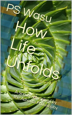 How Life Unfolds: A Scrutiny Inspired by the Advaita Philosophy