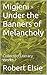 Migjeni - Under the Banners of Melancholy by Robert Elsie