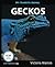 My Favorite Animal: Geckos