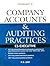 Company Accounts and Auditi...