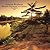 Canadian Wilderness/regions...