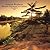 Canadian Wilderness/regions Sauvages Du Canada 2007 Calendar by Daryl Benson