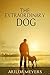 The Extraordinary Dog