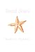 Sand Stars