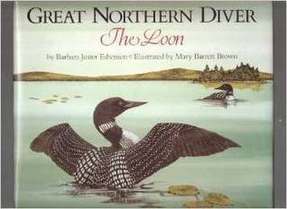 Great Northern Diver: The Loon