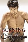 Burning Affair: Gay First Time 3 Story Erotic Bundle Burning Affair: Gay First Time 3 Story Erotic Bundle