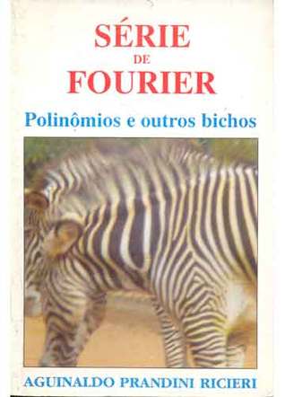 Série de Fourier, Polinômios e outros bichos