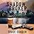 The Shadow Broker (Mr. Finn, #1)