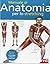 Manuale di anatomia per lo stretching
