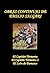 Obras Continuas de Emilio Salgari (El Capitan Tormenta, El Captitan Tormenta 2, El Leon de Damasco) (Spanish Edition)