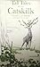 Tall Tales of the Catskills by Frank Lee DuMond