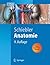 Anatomie by T.H. Schiebler