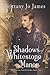 Shadows of Whitestone Manor (The Winters Family Series #2)