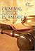 Criminal Justice in America by Bill Hayes
