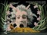 Fantasia of Color in Early Cinema