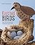 Knitted Birds: Over 30 fun feathered friends for you to knit