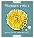 Plantes relax pour jardin s...